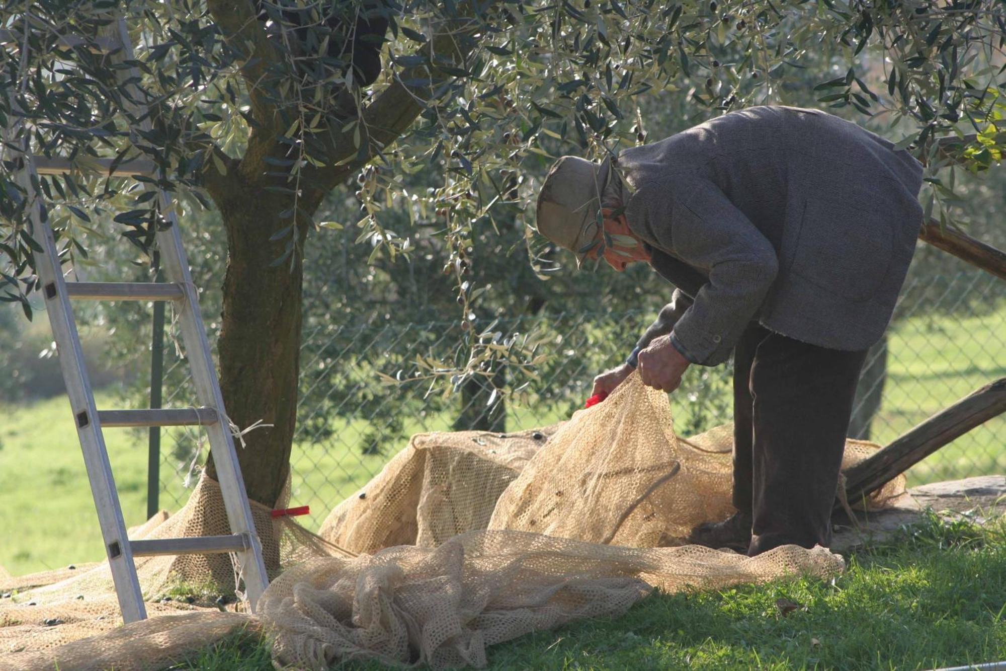 Agriturismo Le Ceregne Bio Pieve Santo Stefano Exterior foto